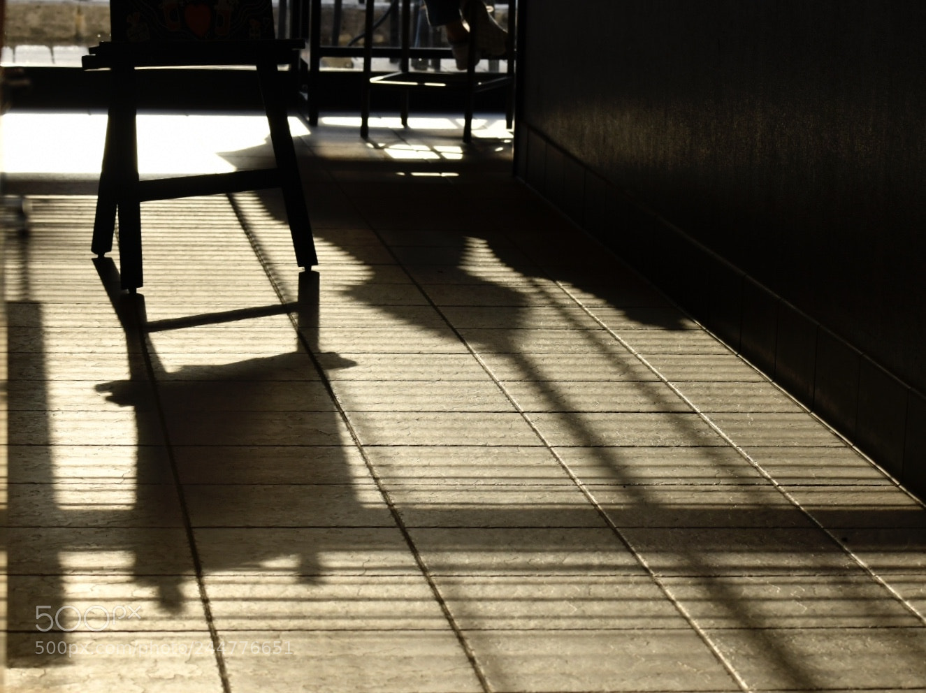 Nikon D850 sample photo. Untitled photography