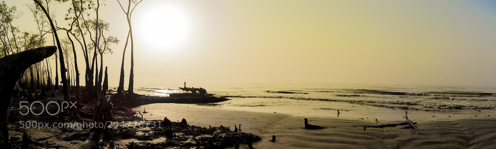 Nikon D810 sample photo. Pano photography