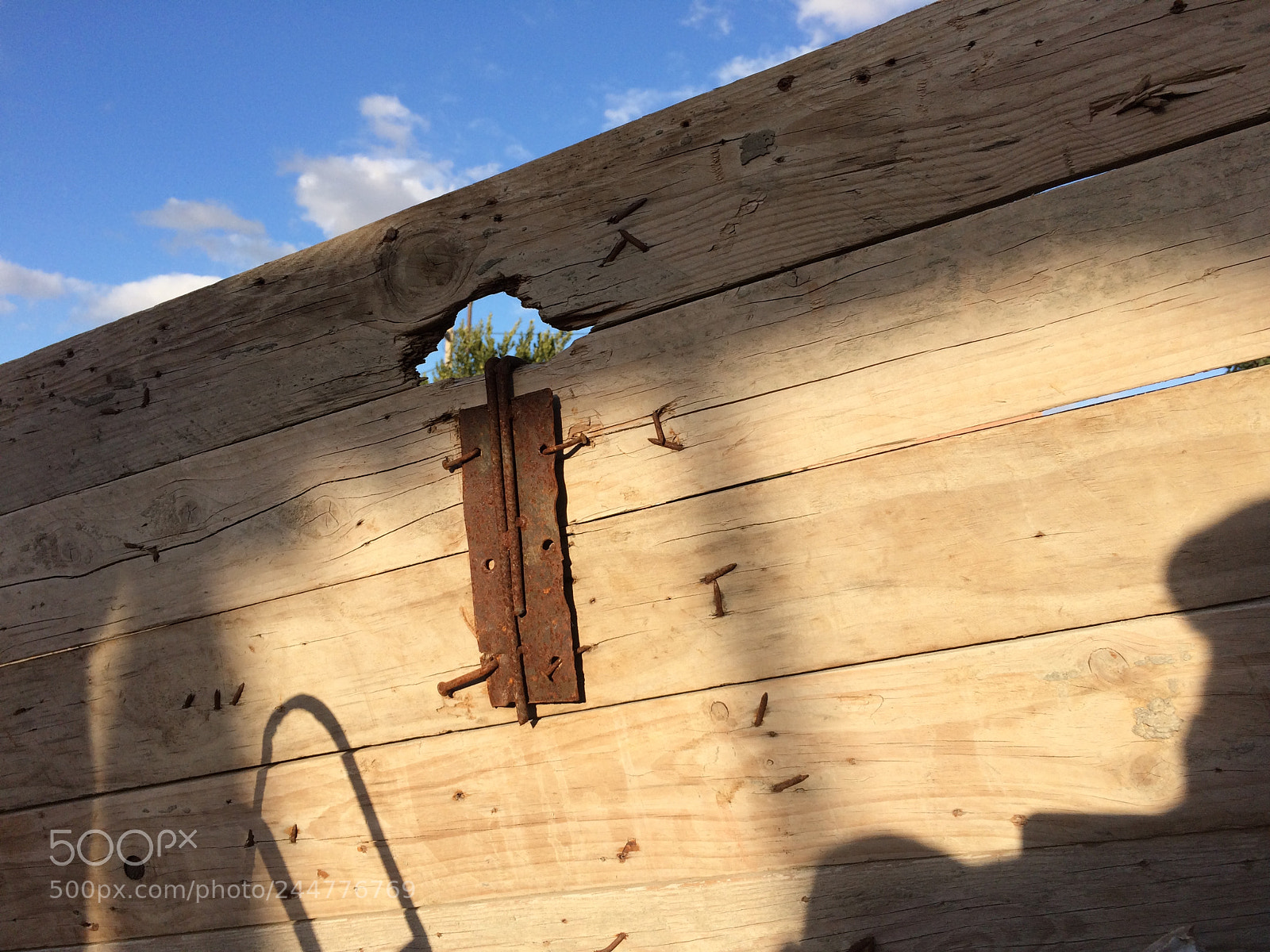 Apple iPhone 5s sample photo. Untitled photography