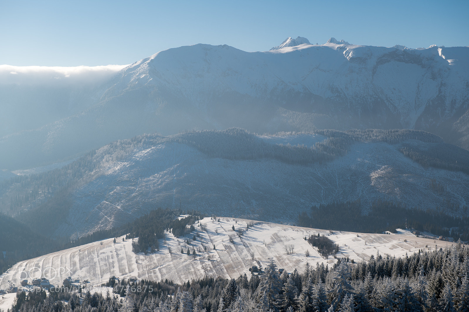 Nikon D850 sample photo. Winter photography