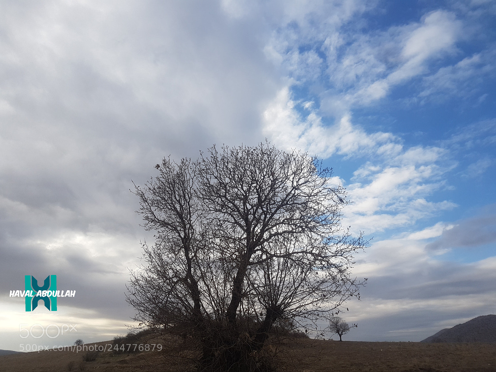 Samsung Galaxy S7 sample photo. Untitled photography