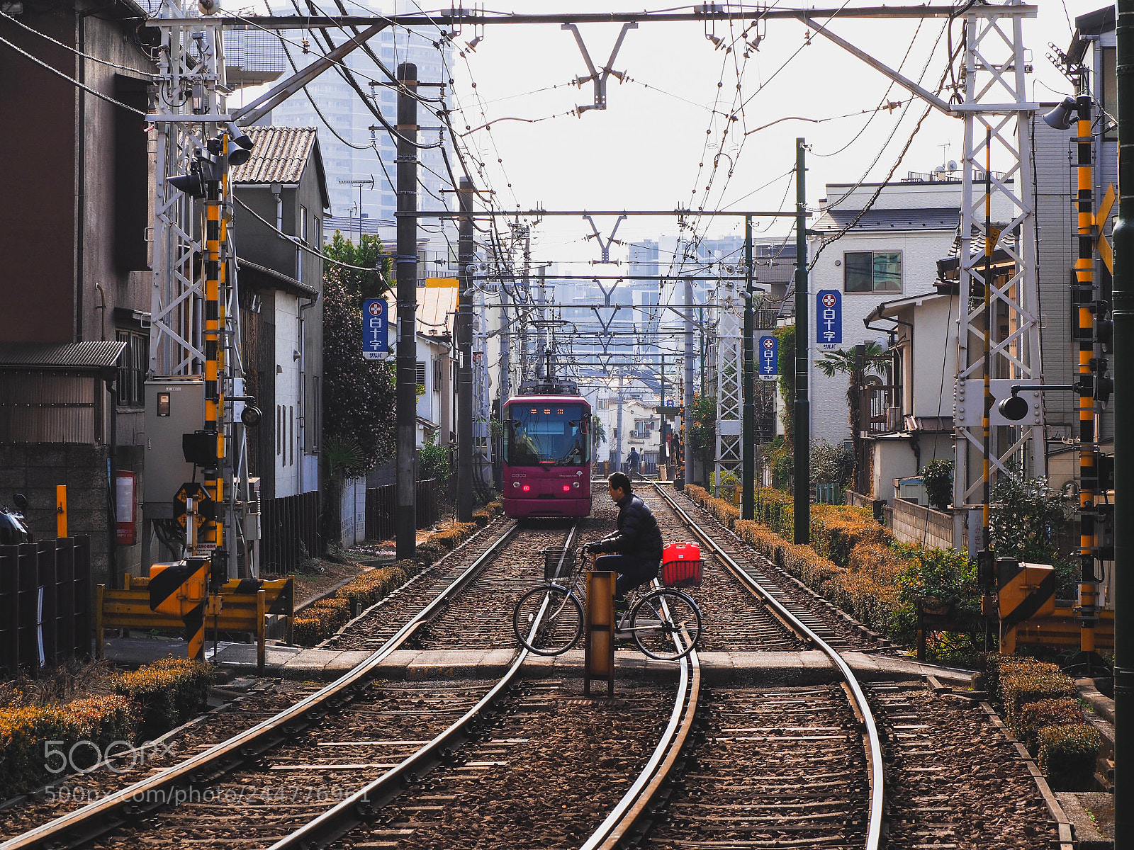 Olympus OM-D E-M10 II sample photo. Tokyo sakura tram photography