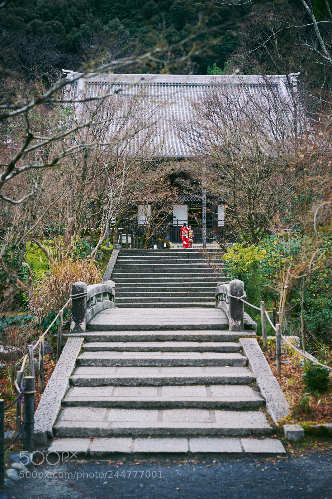 Sony a7 II sample photo. Zenrinji(禅林寺), kyoto photography