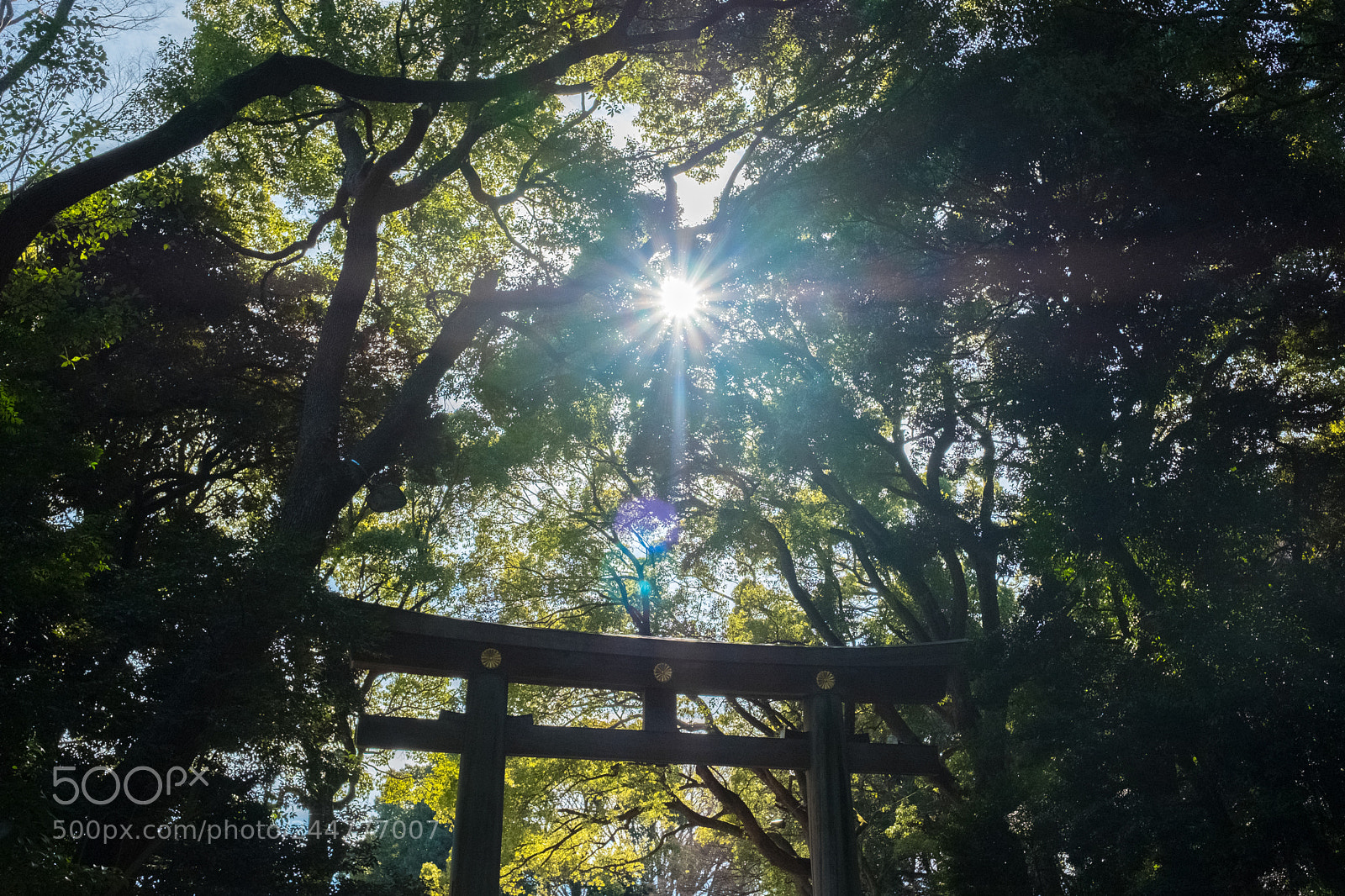 Fujifilm X-T20 sample photo. Body & soul photography