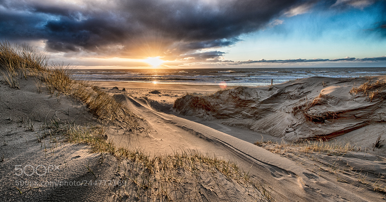 Nikon D850 sample photo. Sunset from the dunes photography