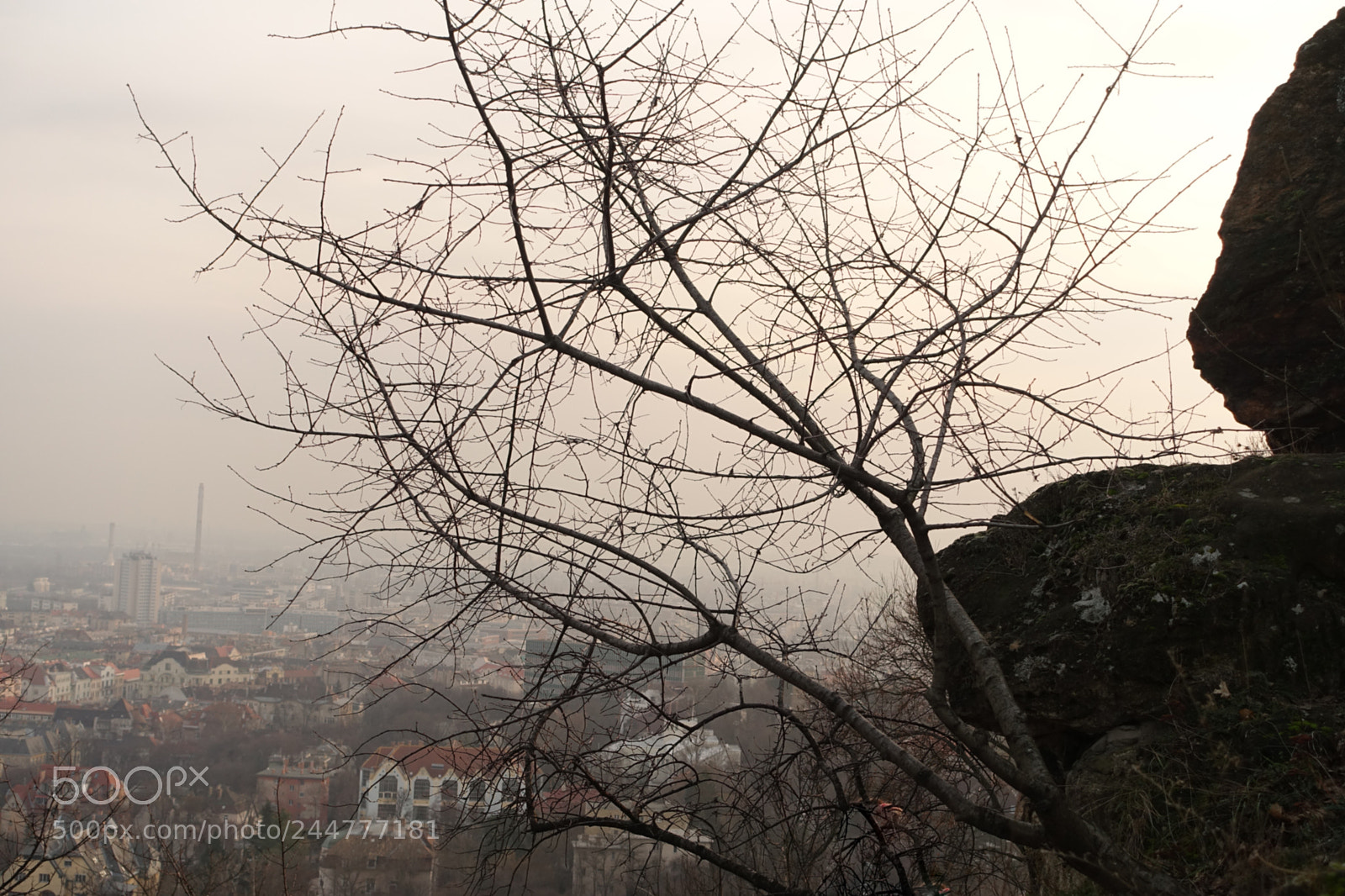 Sony Cyber-shot DSC-RX100 III sample photo. Foggy view photography