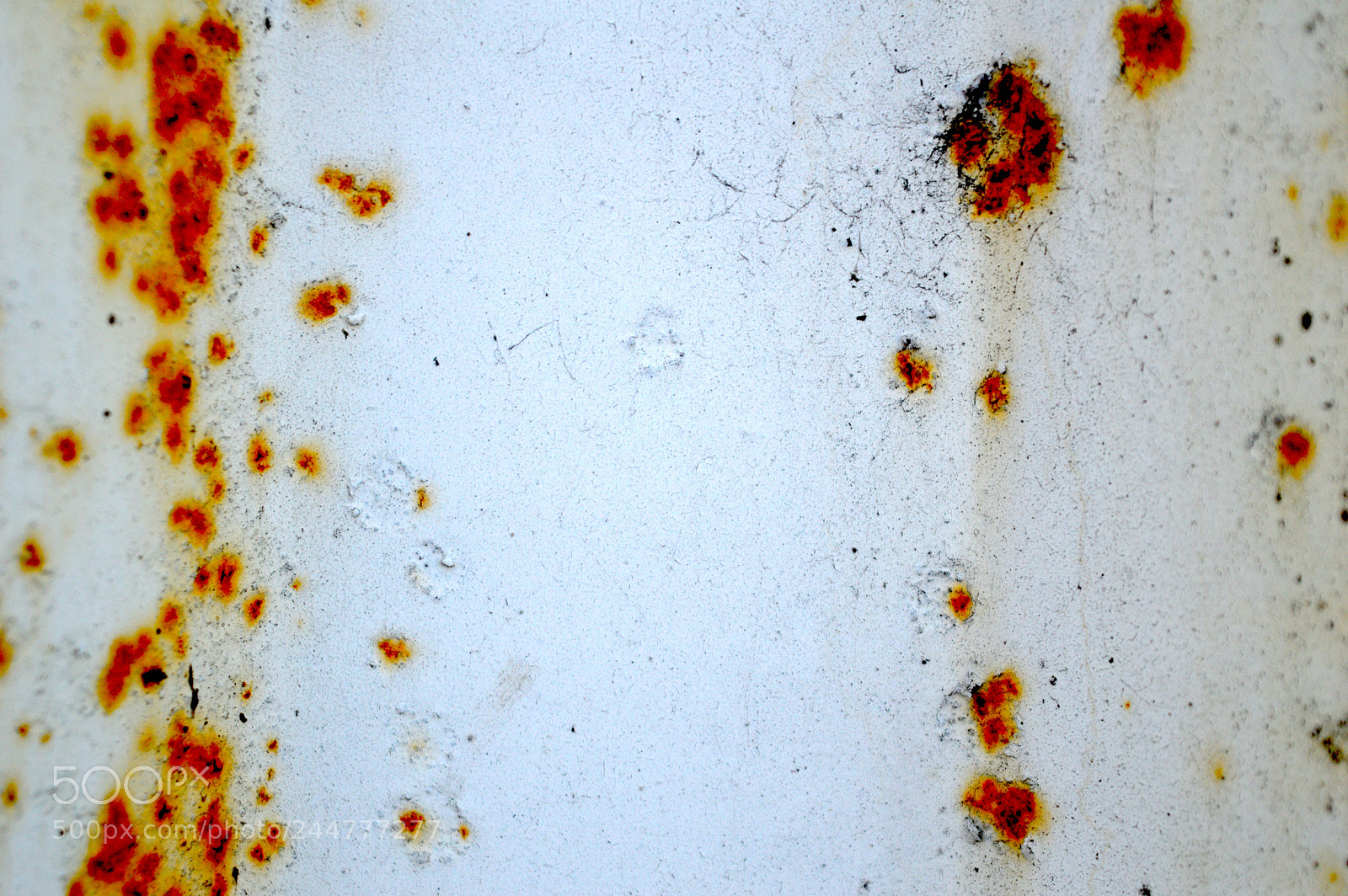 Nikon D3200 sample photo. Rust photography
