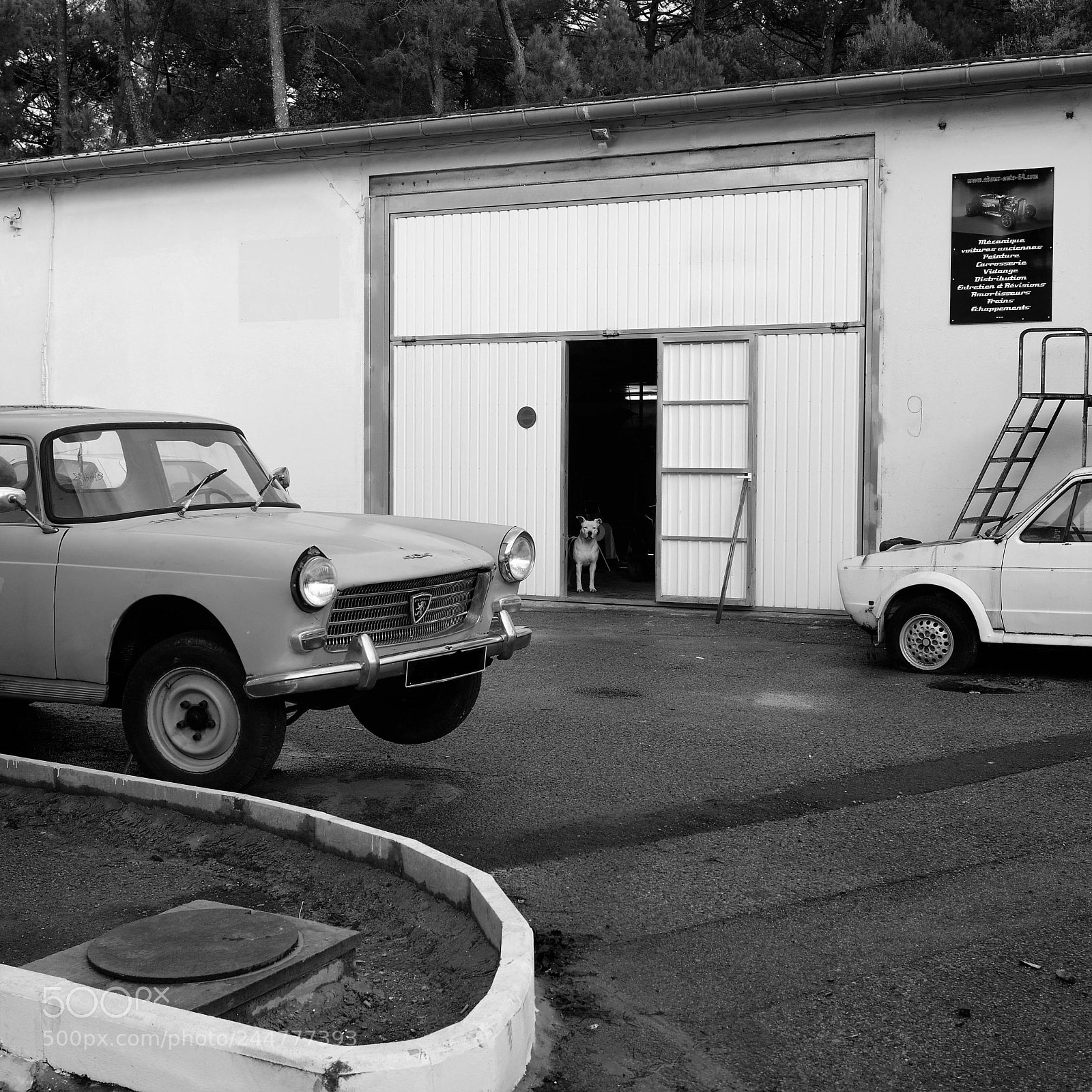 Leica Q (Typ 116) sample photo. L photography