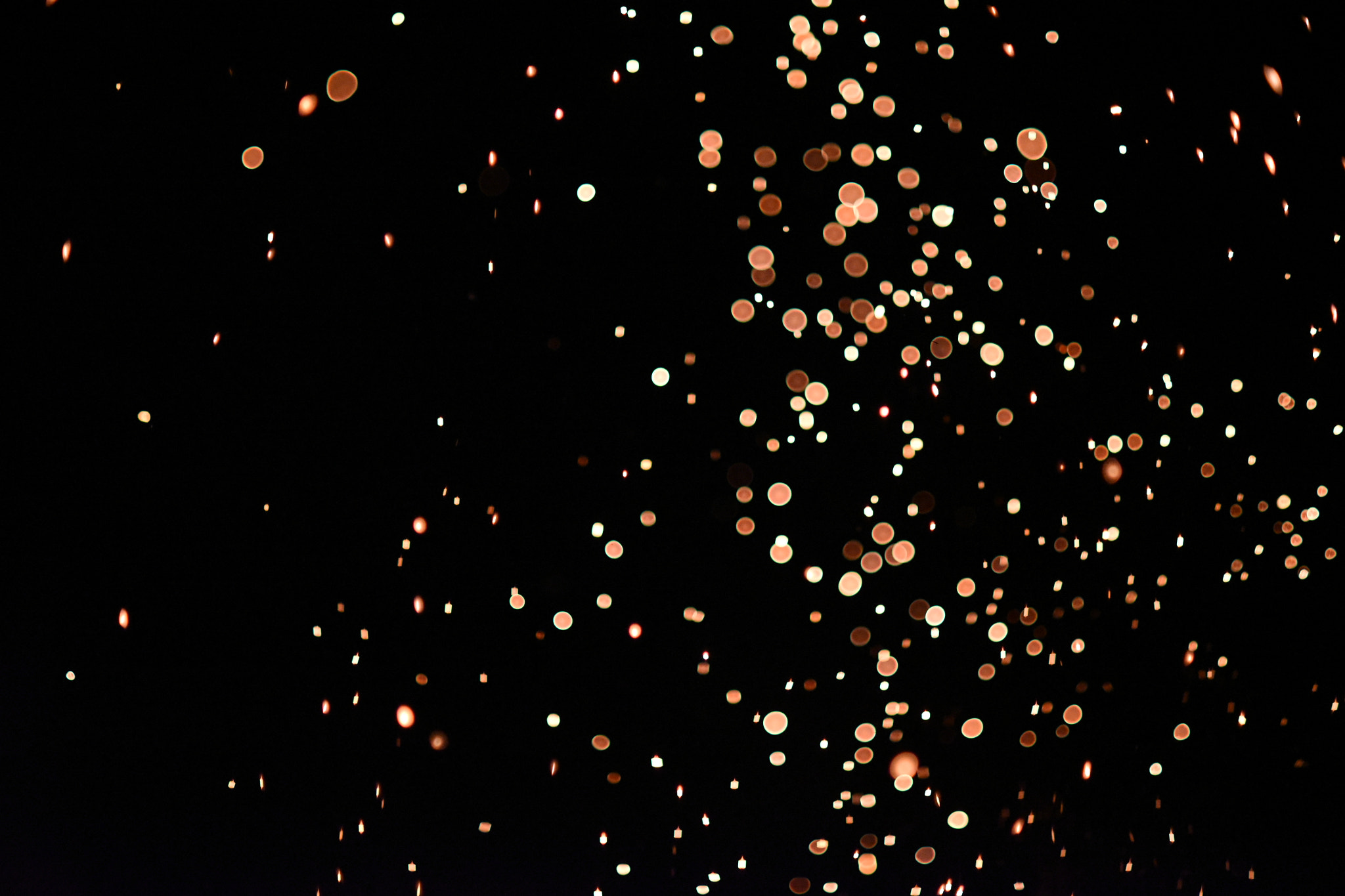 Nikon AF Nikkor 85mm F1.8D sample photo