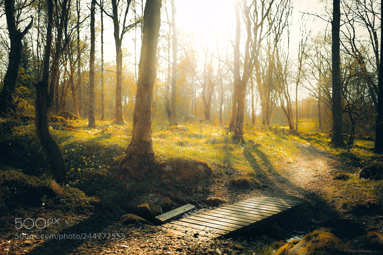 Canon EOS 5DS R sample photo. Psalm 59:16 photography