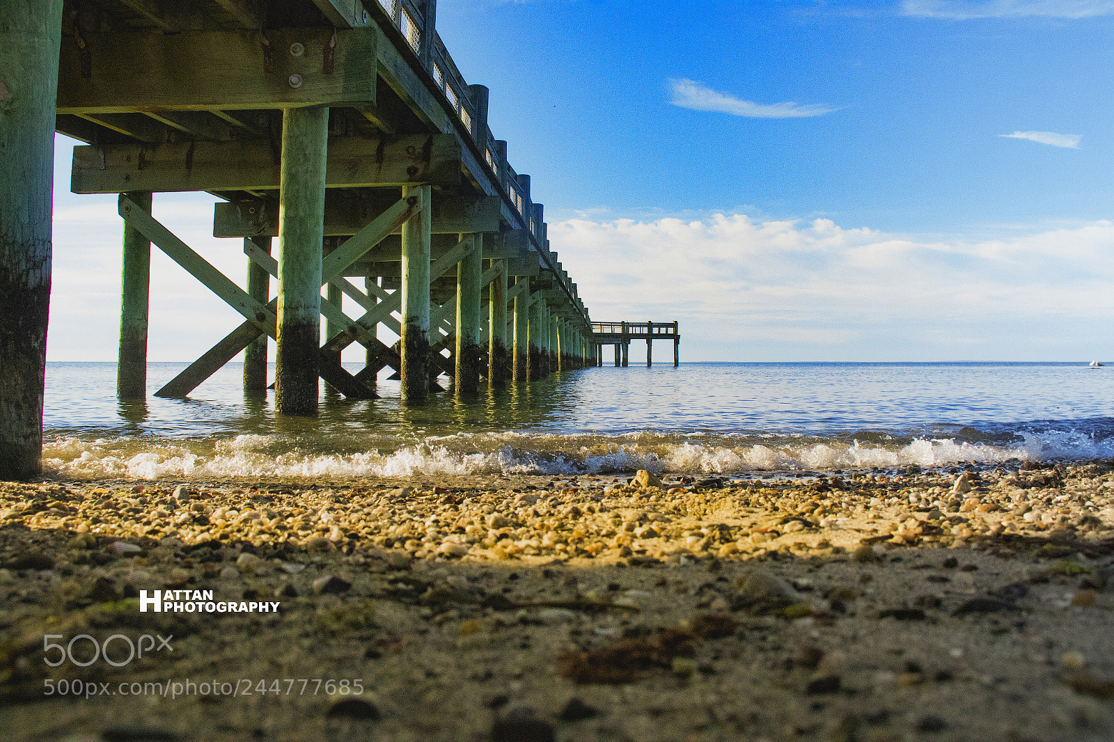 Canon EOS 7D Mark II sample photo. Untitled photography
