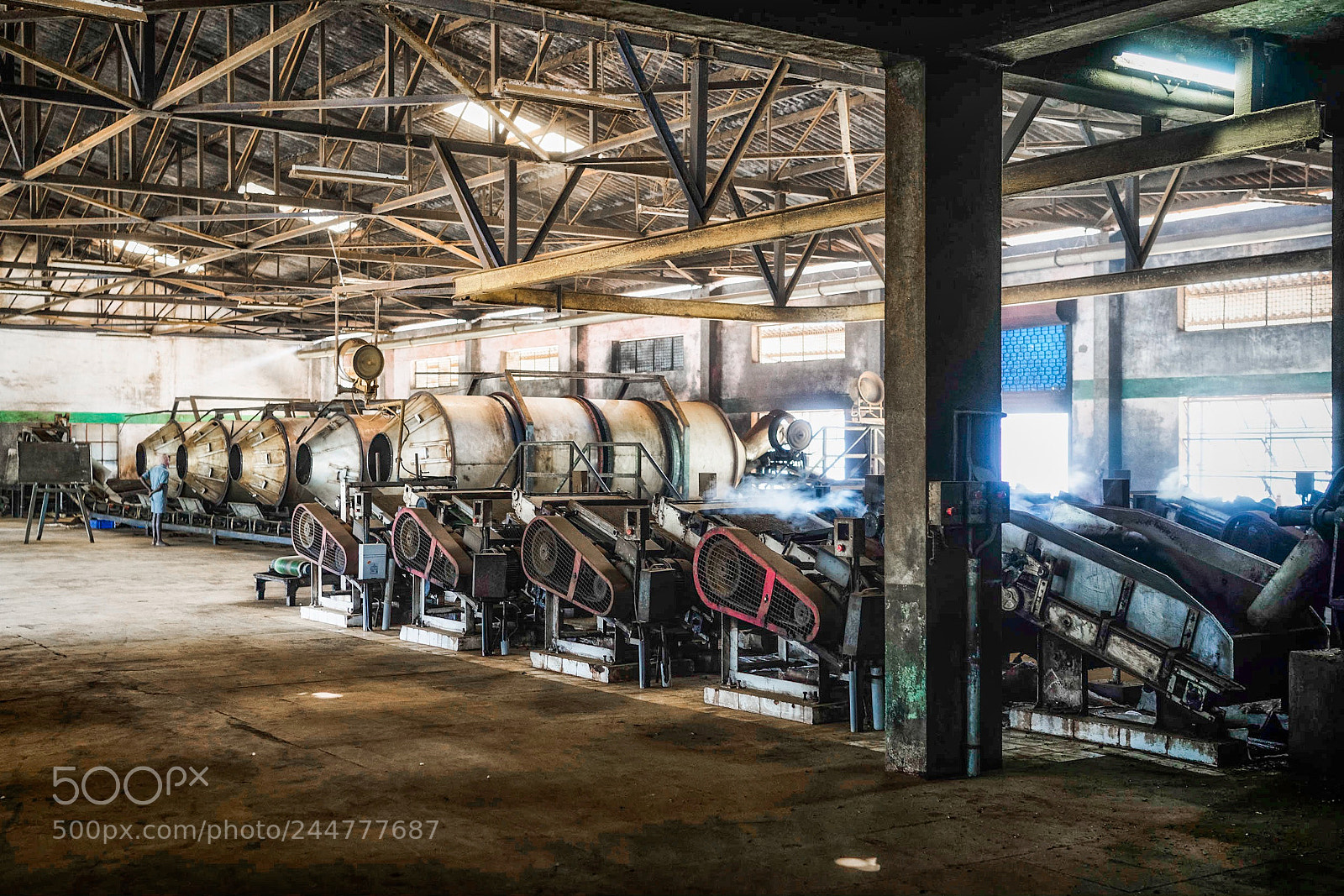 Sony a7R II sample photo. Tea factory photography