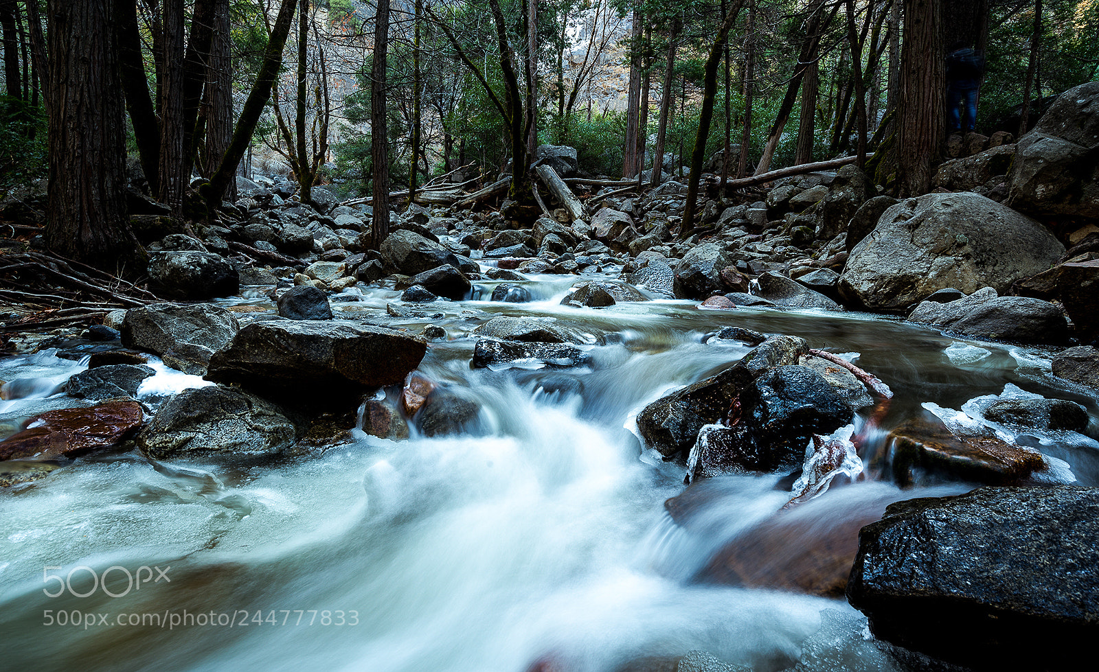 Nikon D610 sample photo. Icy creek photography
