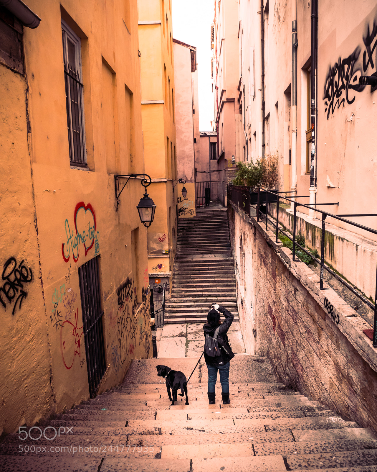 Panasonic Lumix DMC-GX85 (Lumix DMC-GX80 / Lumix DMC-GX7 Mark II) sample photo. Just traboule photography