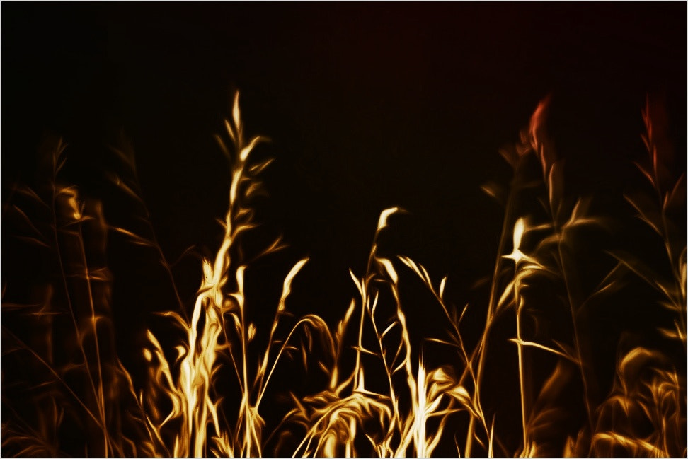 Olympus SP570UZ sample photo. In the fire photography