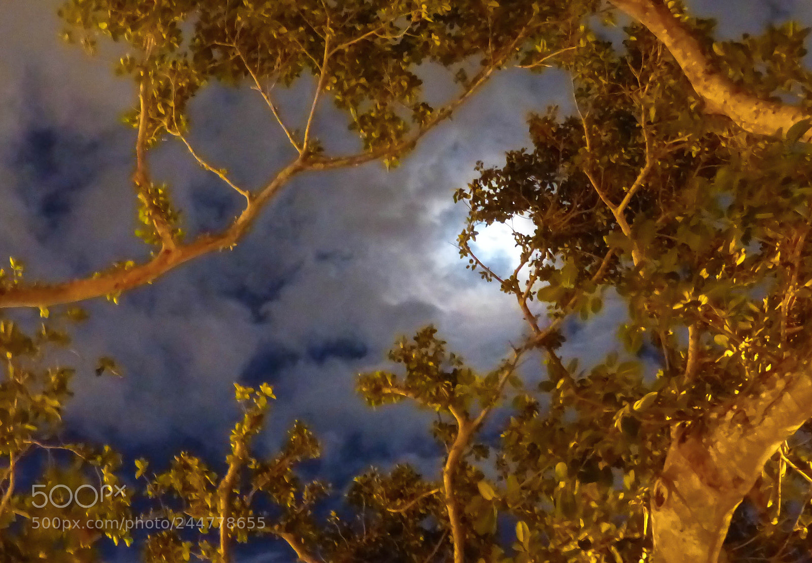 Panasonic Lumix DMC-FZ200 sample photo. Moonshine photography