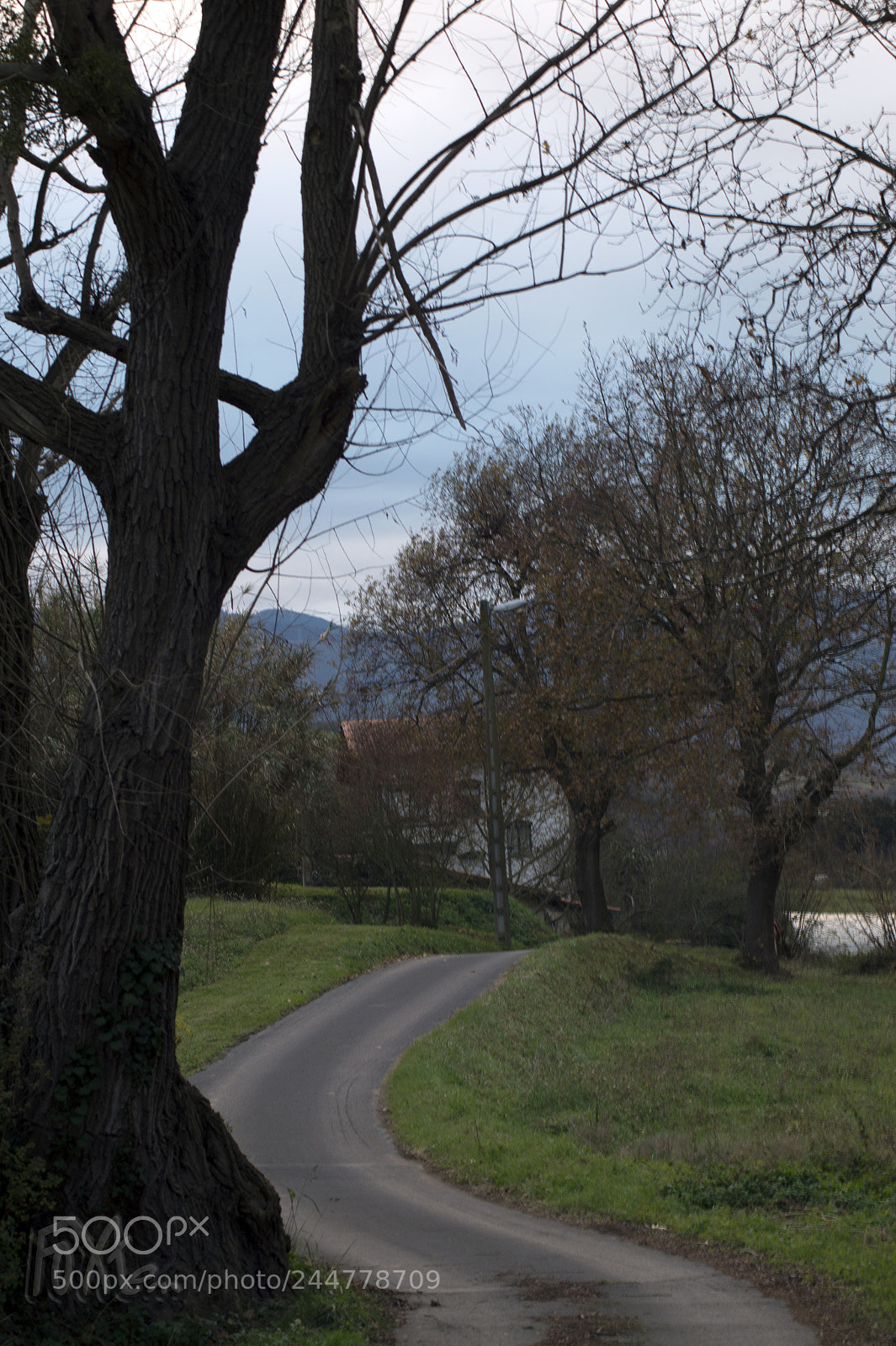 Sony SLT-A58 sample photo. Untitled photography