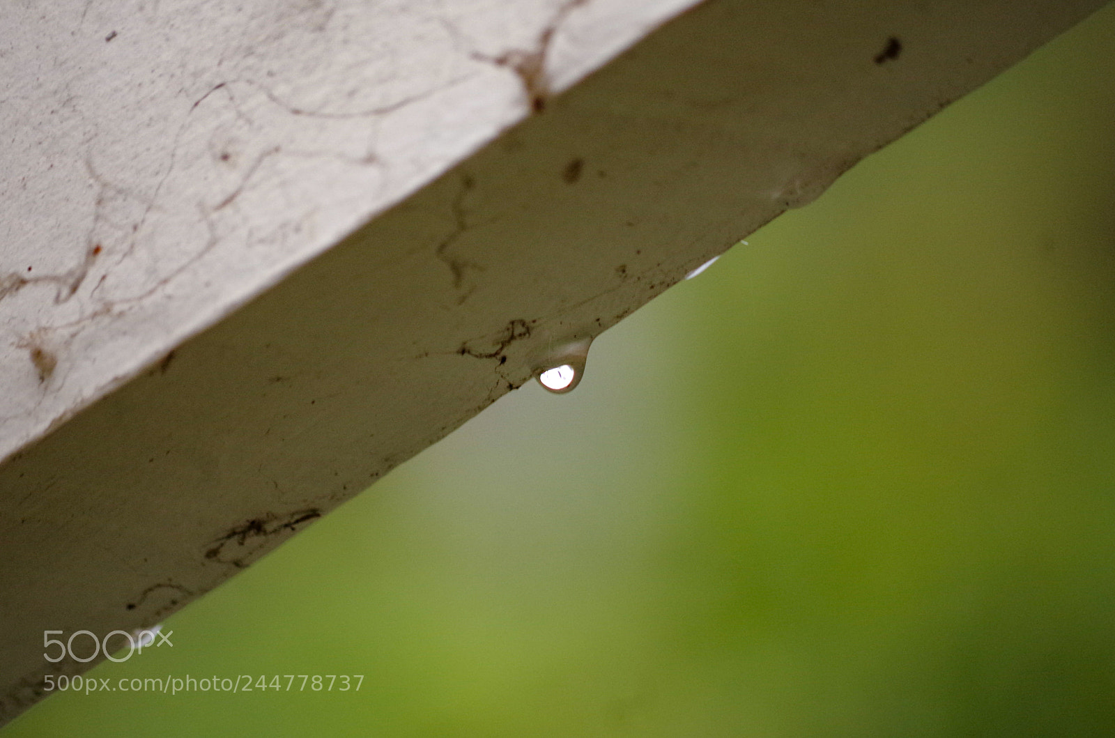Pentax K-50 sample photo. Drop of light photography