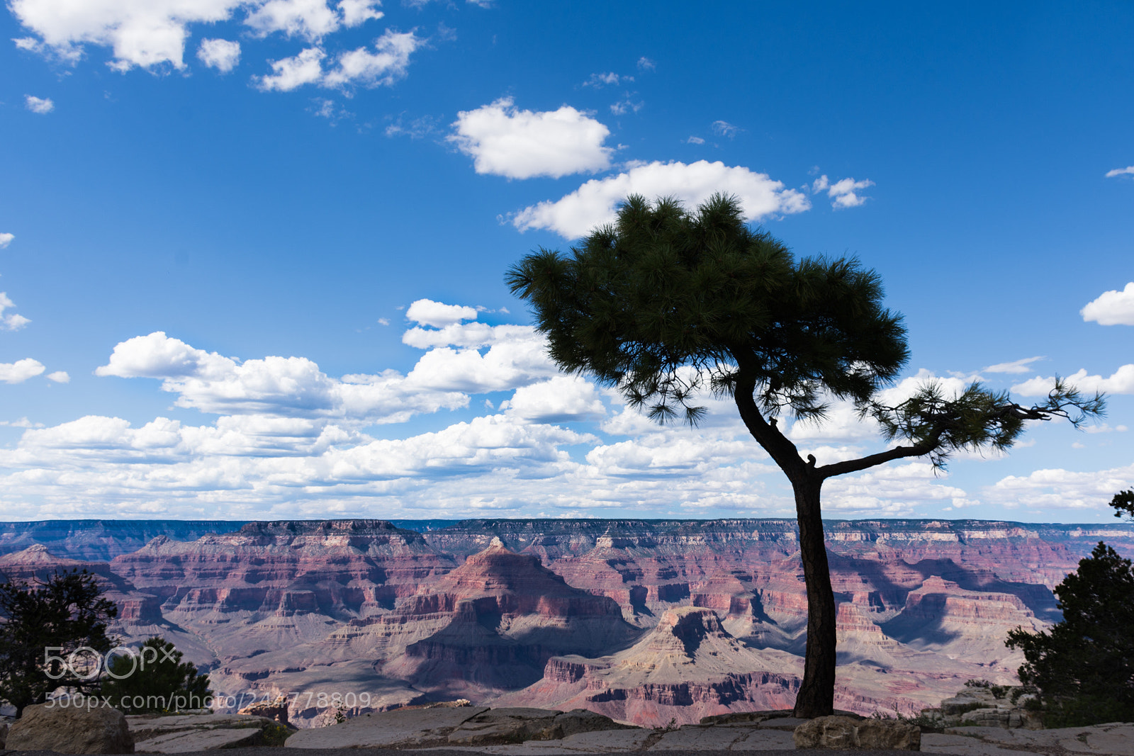 Nikon D7200 sample photo. Grand canyon photography