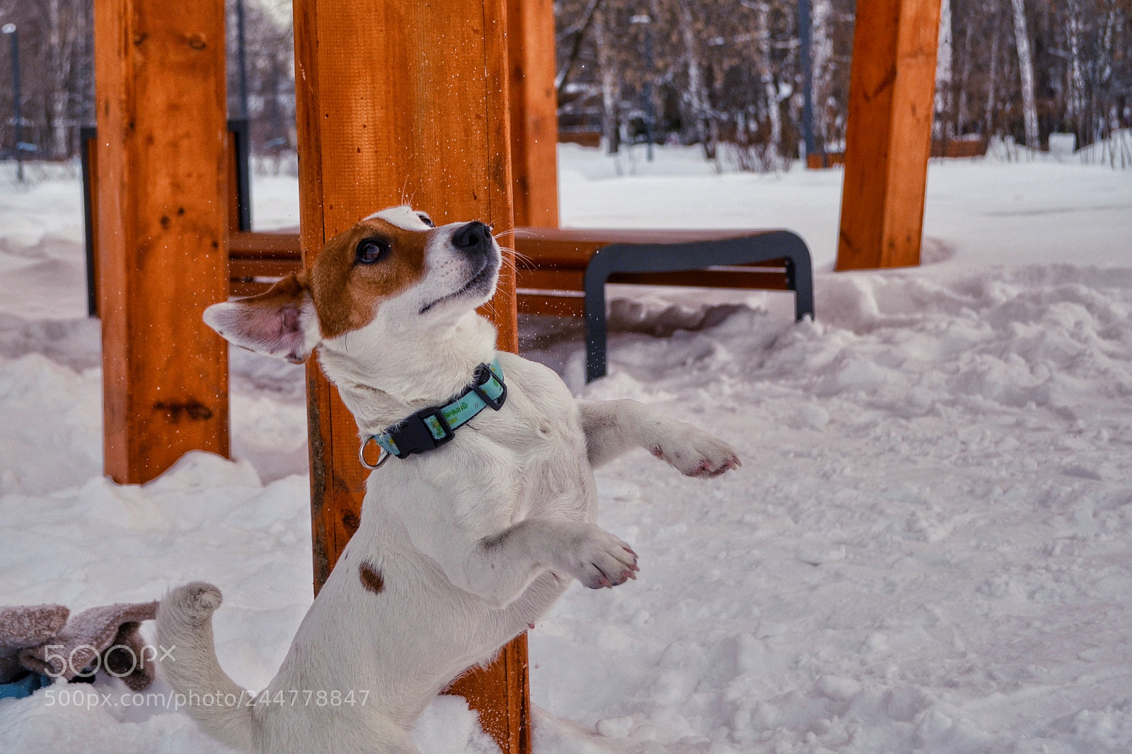 Nikon D5100 sample photo. Untitled photography