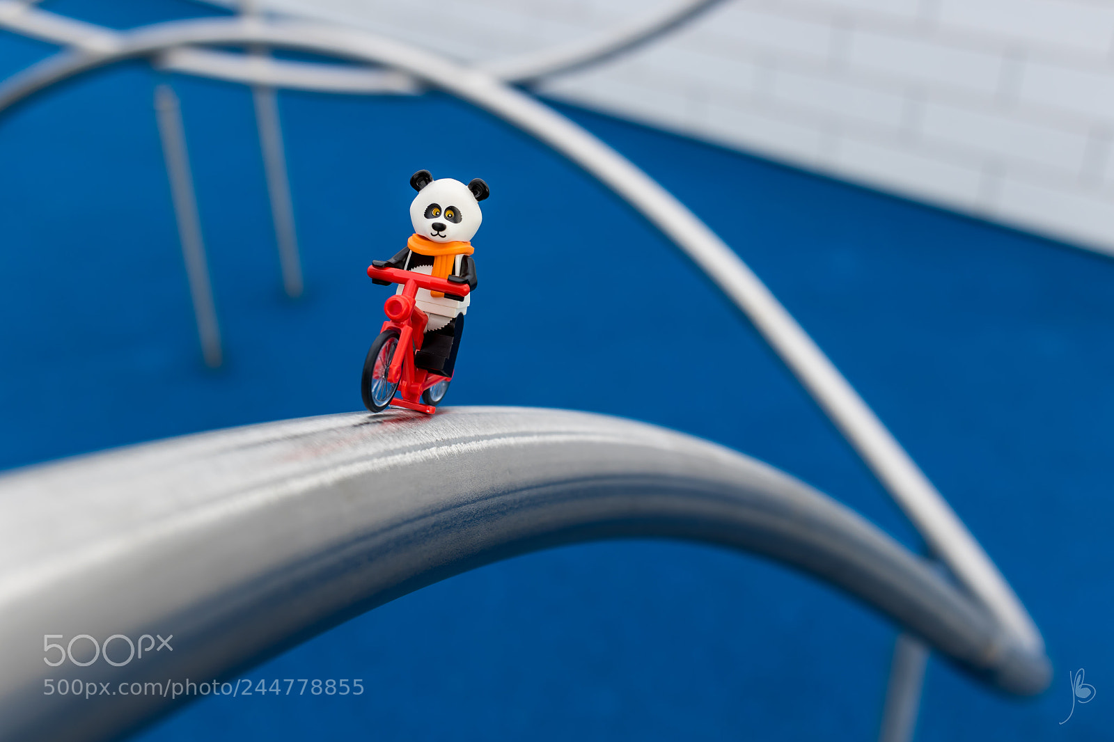Canon EOS 7D Mark II sample photo. Panda on a bike photography