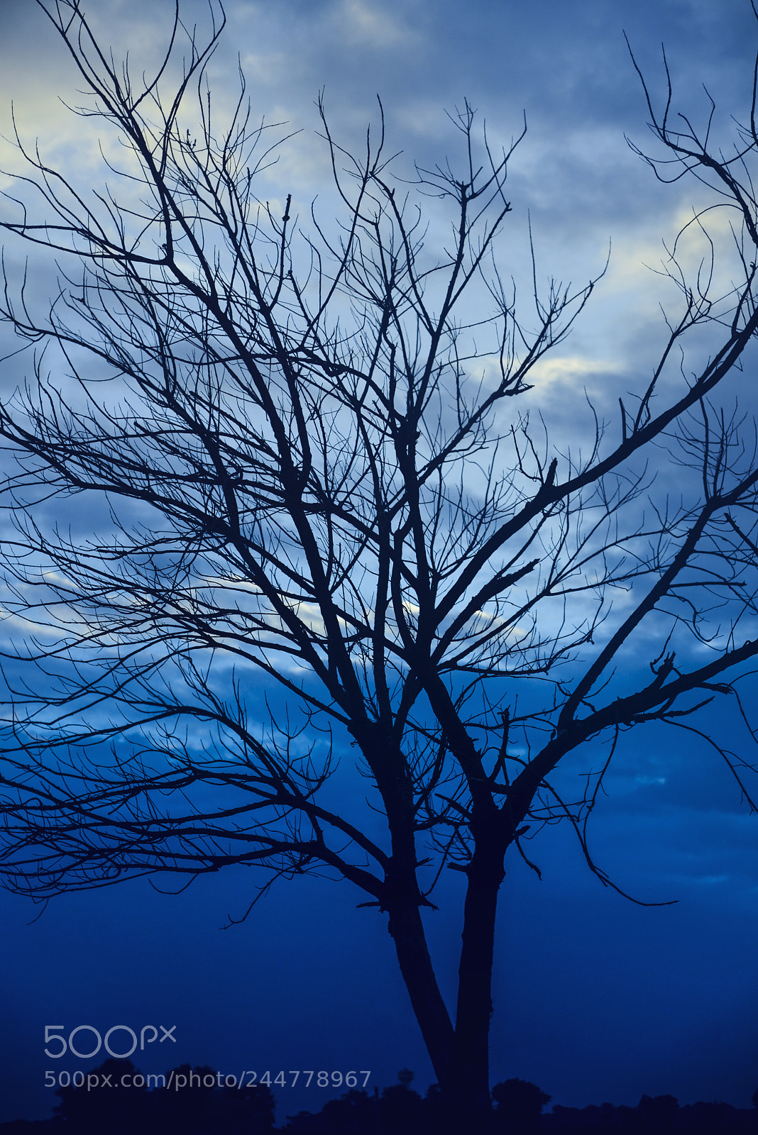 Nikon D610 sample photo. Reaching out for help photography