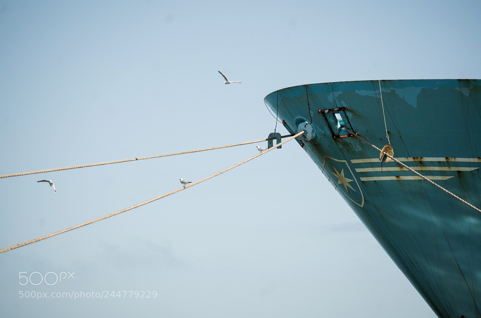 Pentax K-50 sample photo. Bowlines photography