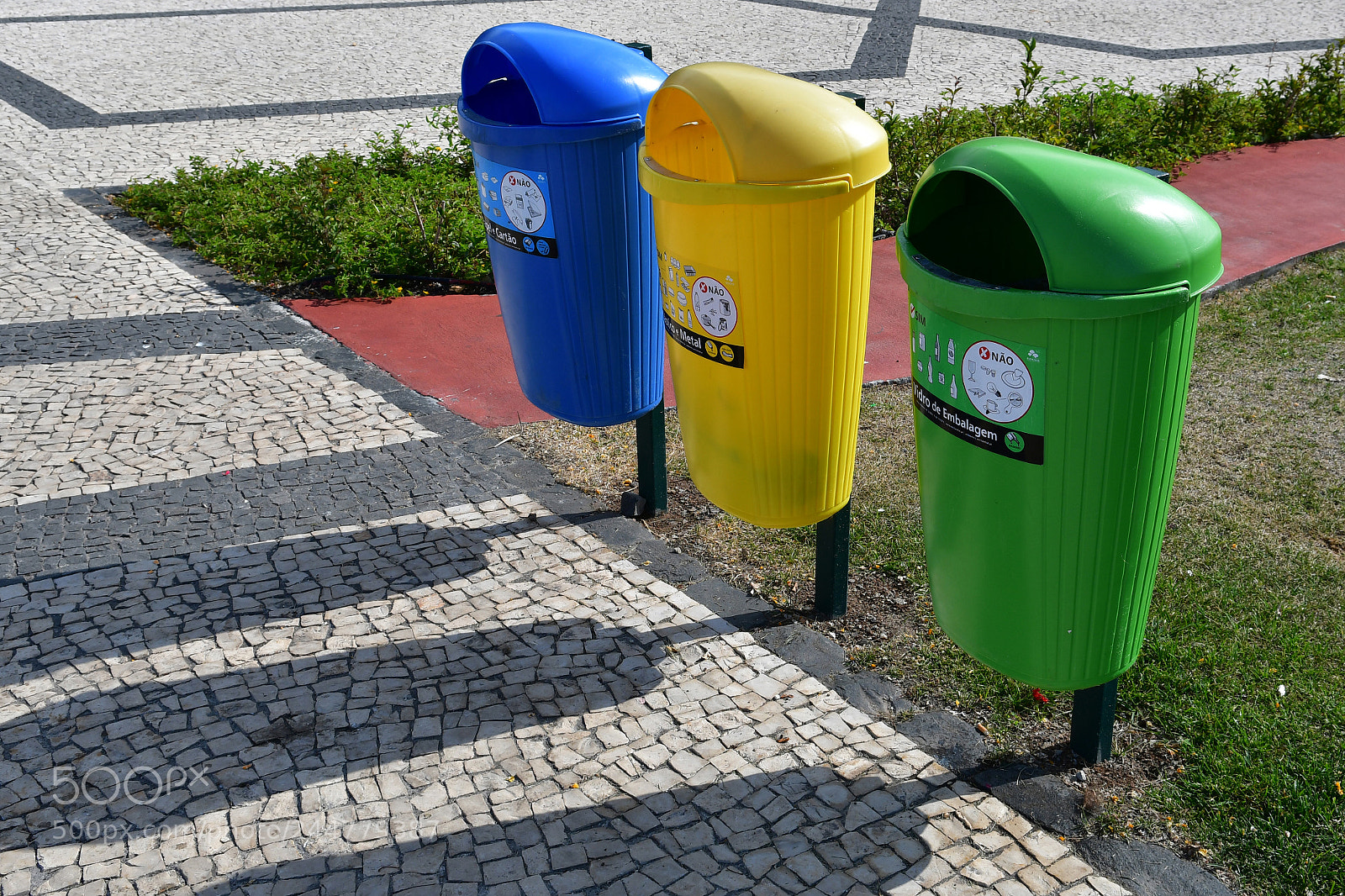 Nikon D500 sample photo. Clean photography