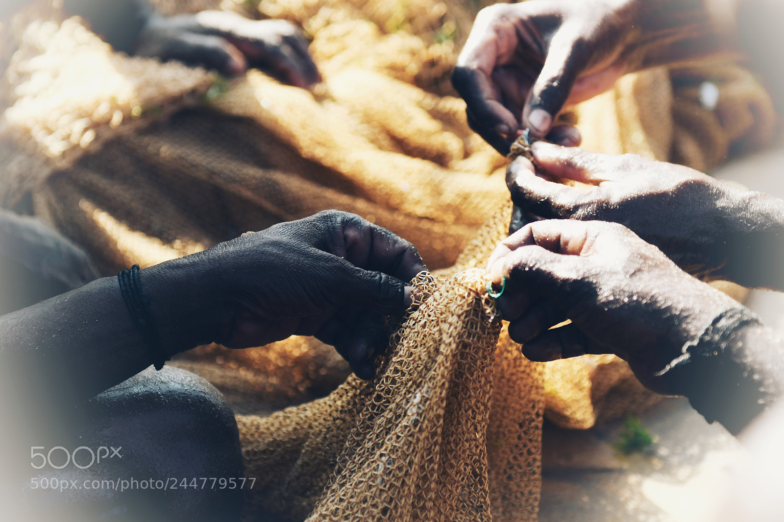 Nikon D500 sample photo. The hands of a photography
