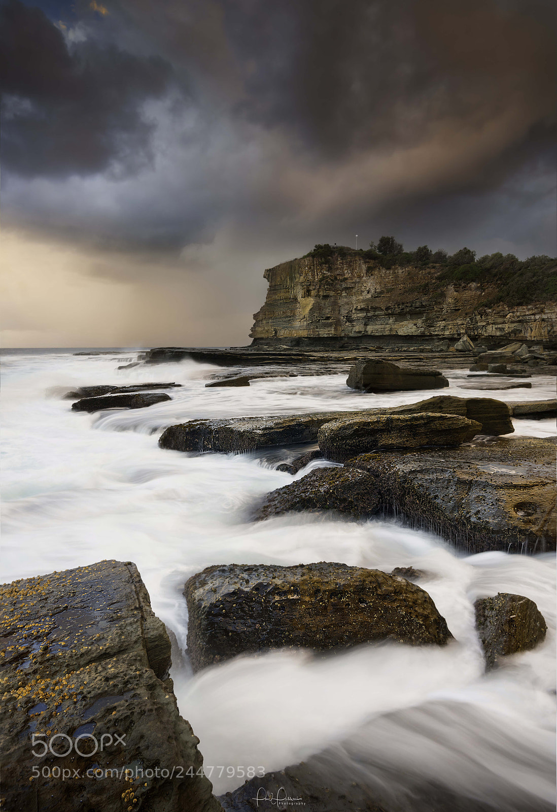 Nikon D810 sample photo. Terrigal - nsw photography