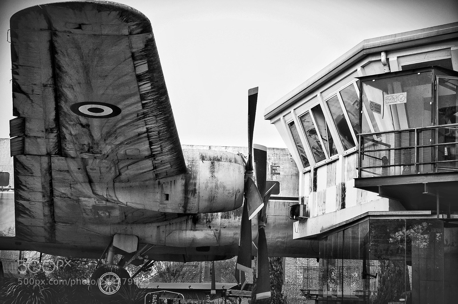 Nikon D300S sample photo. Untitled photography