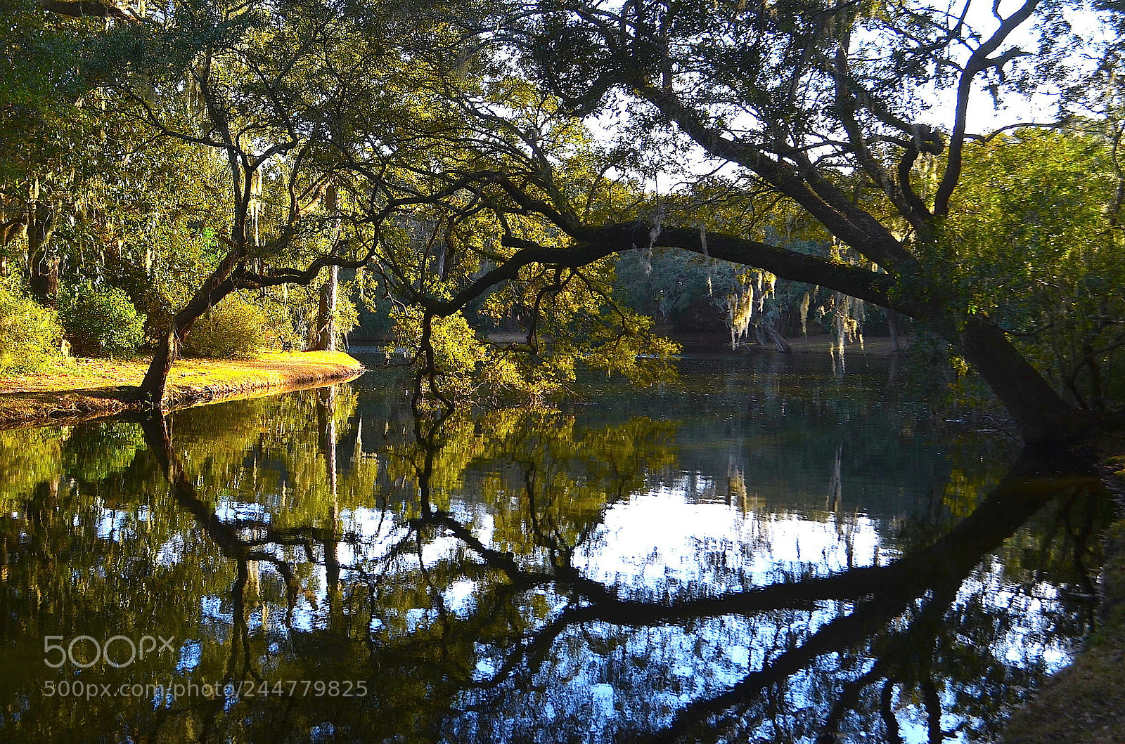 Nikon D5100 sample photo. Perfect reflection photography