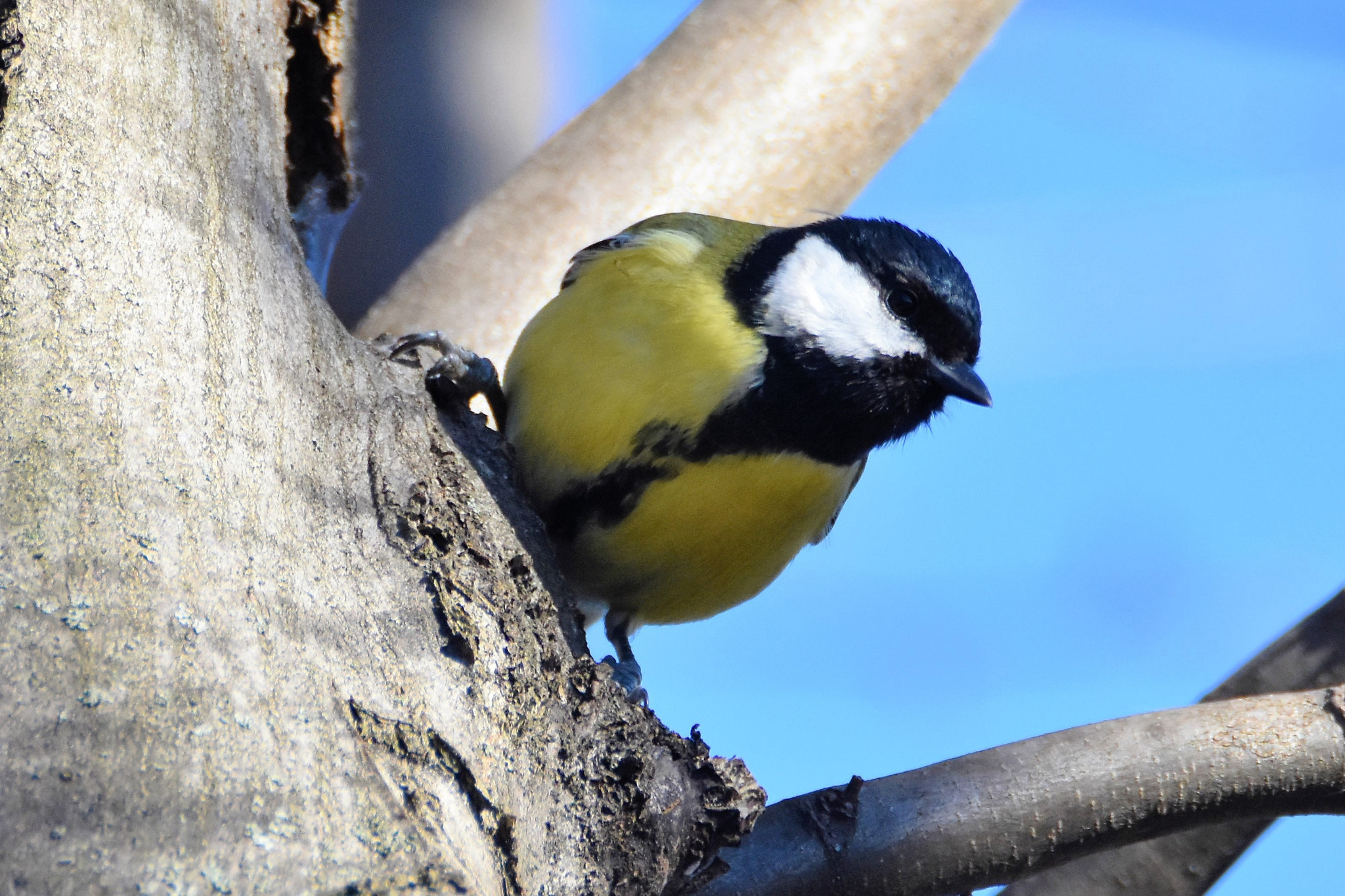 Nikon D7200 sample photo. Good morning, everyone! :-) photography