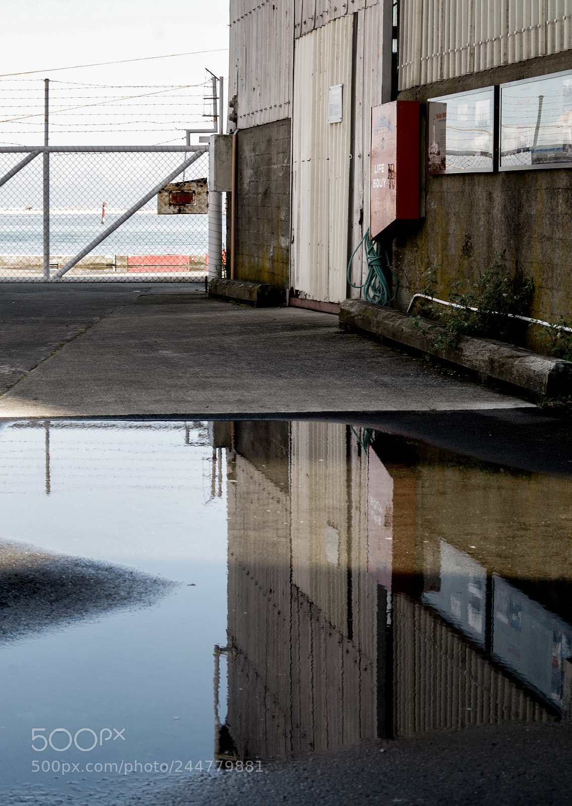 Pentax K-50 sample photo. Untitled photography