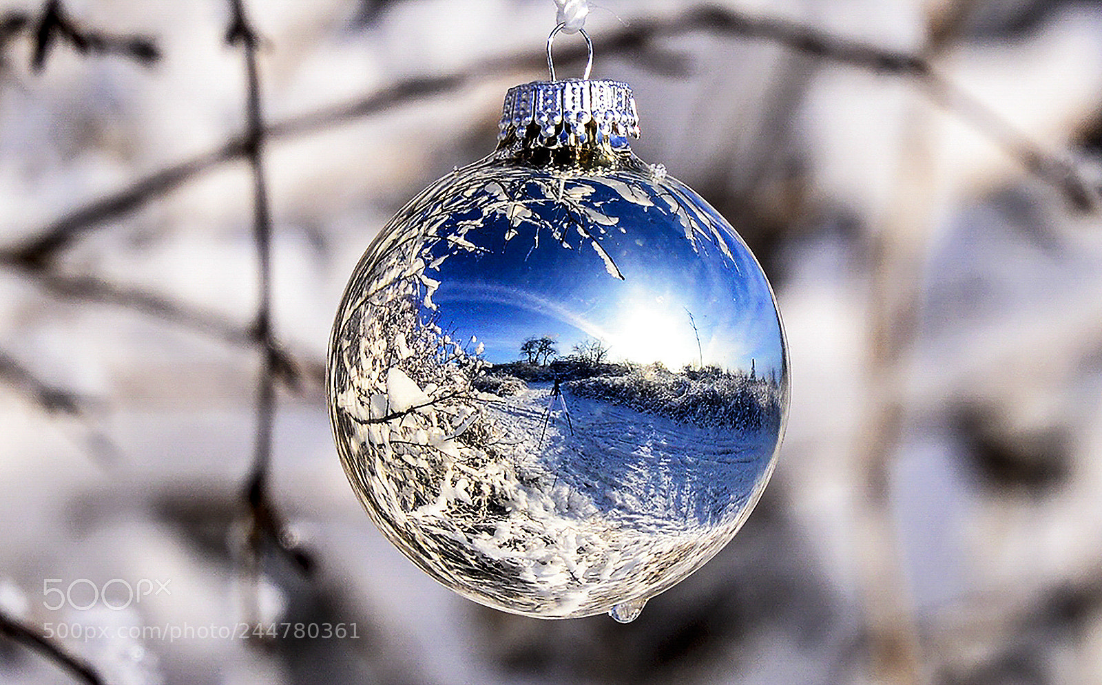 Nikon D610 sample photo. The world from a photography