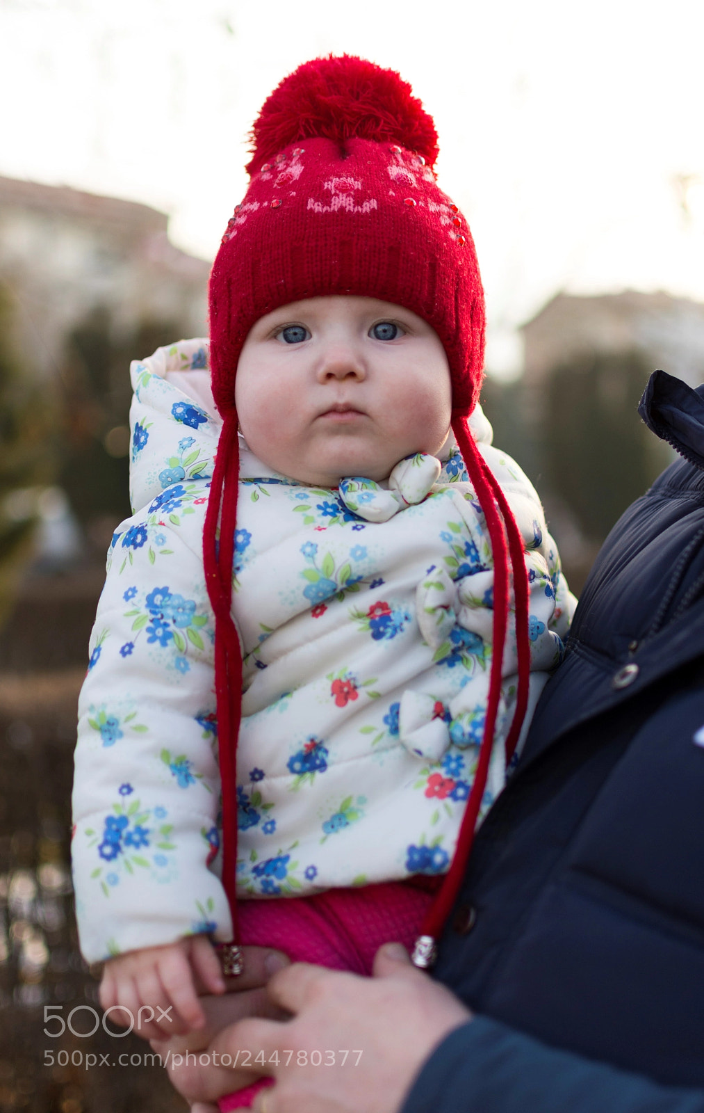 Nikon D7200 sample photo. Blue eyes photography