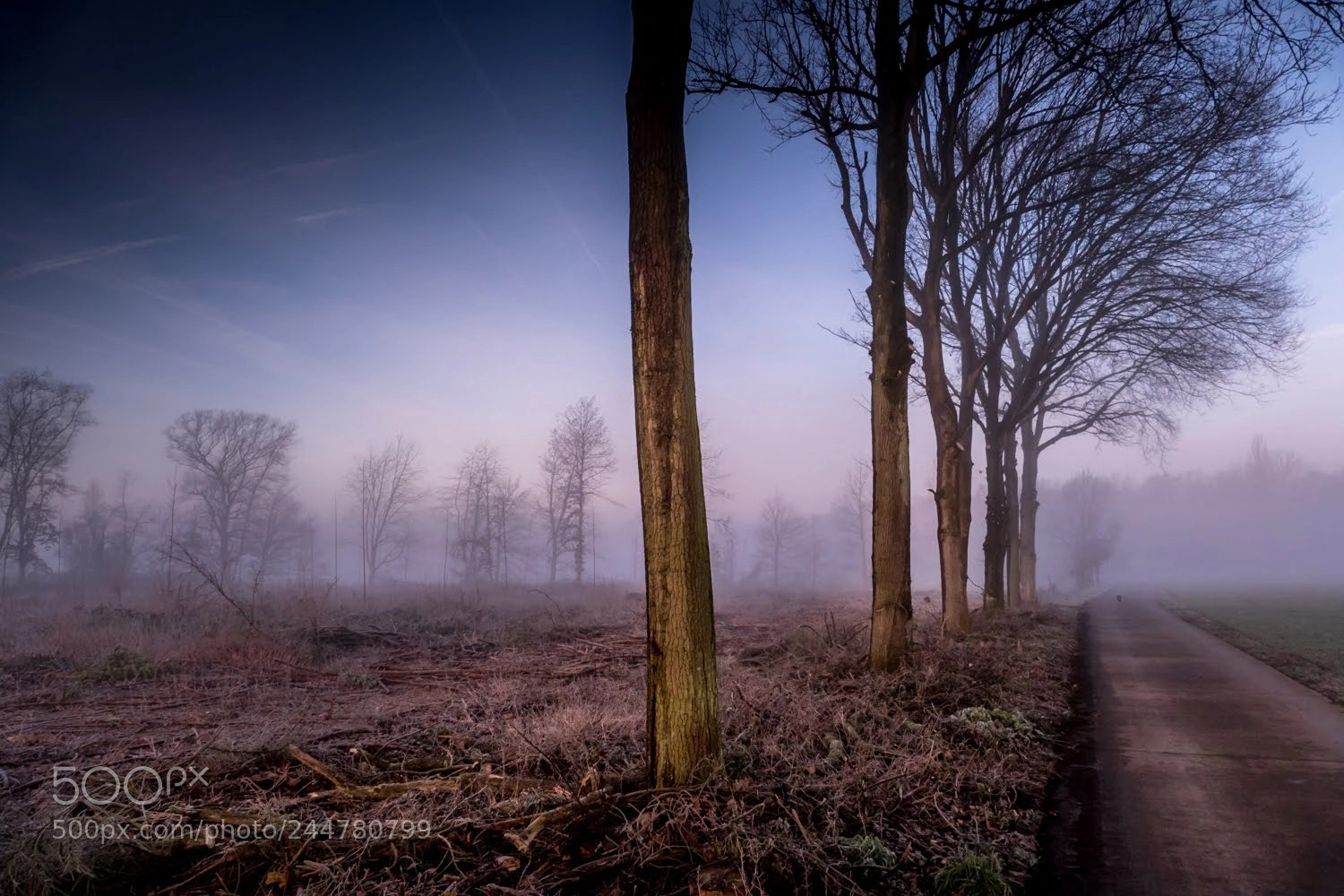 Panasonic Lumix DMC-FZ1000 sample photo. Misty morning photography