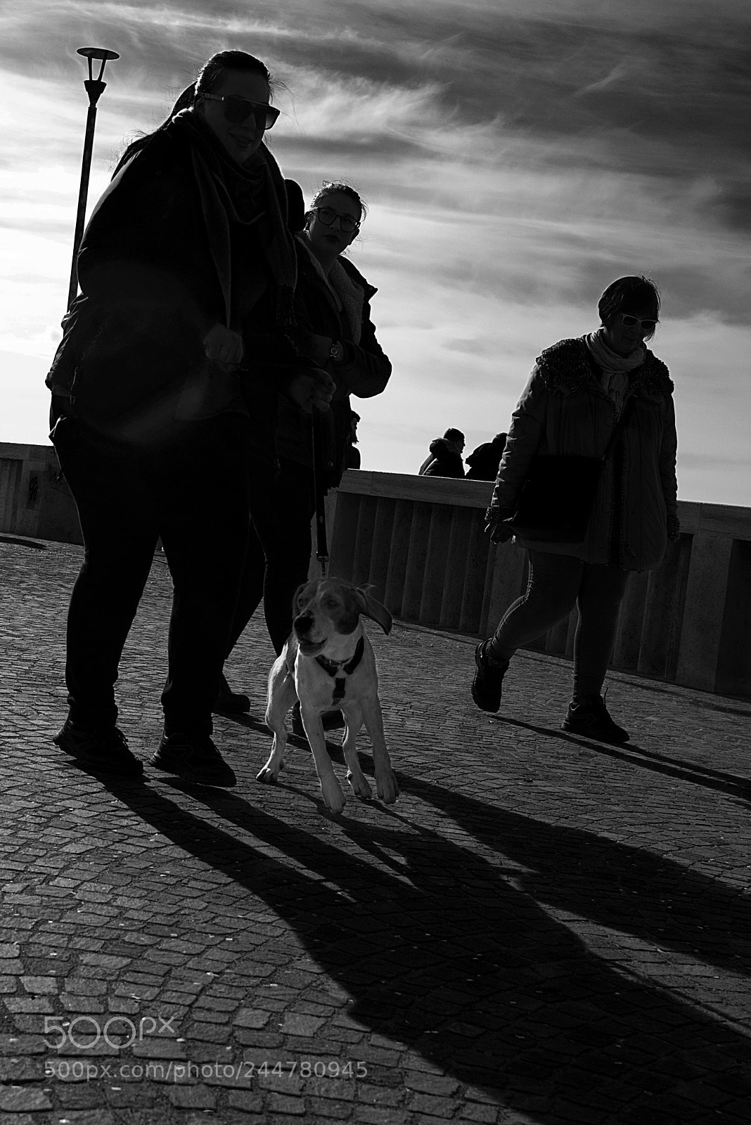Nikon D600 sample photo. Arf arf photography