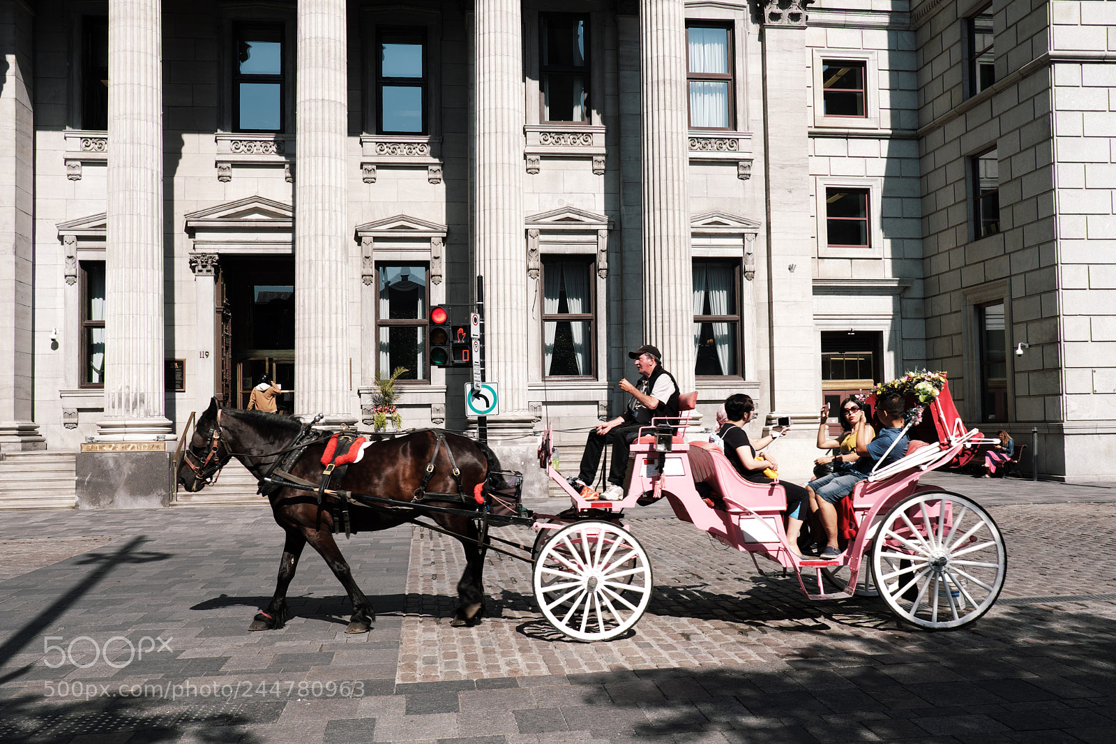 Fujifilm X-T20 sample photo. Horse cart photography