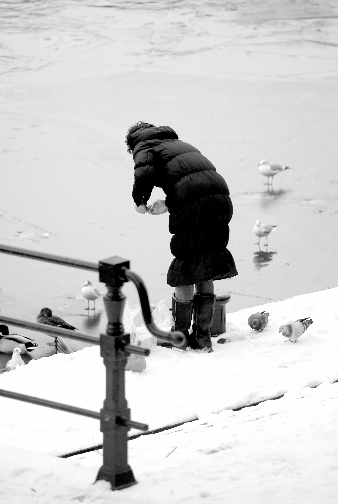 Canon EF 70-200mm F4L USM sample photo. Female feeding pigeons. photography