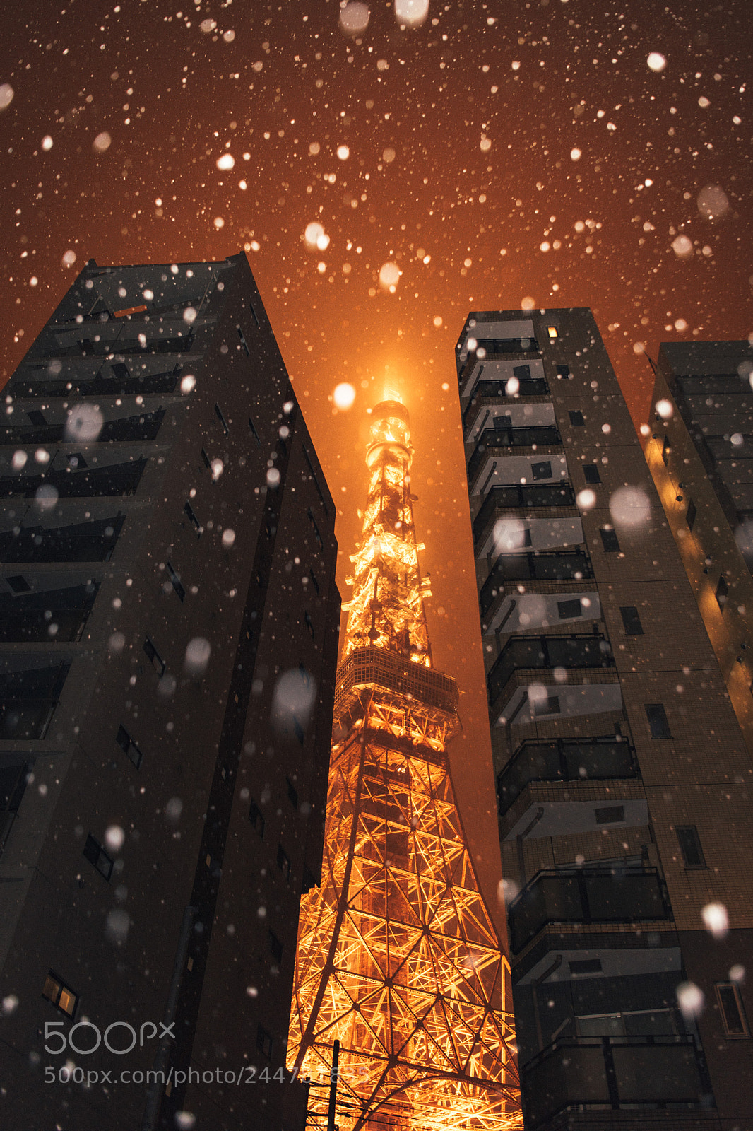 Nikon D810 sample photo. Snow day in tokyo photography