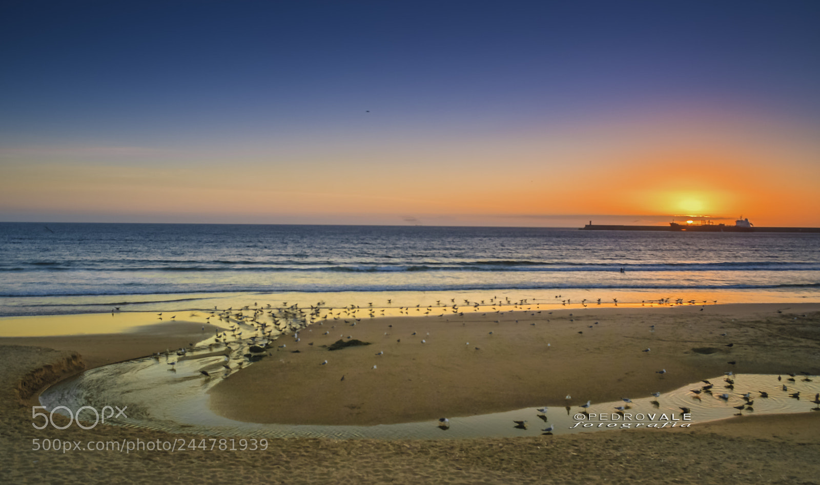Nikon D5500 sample photo. Pdsol matosinhos photography