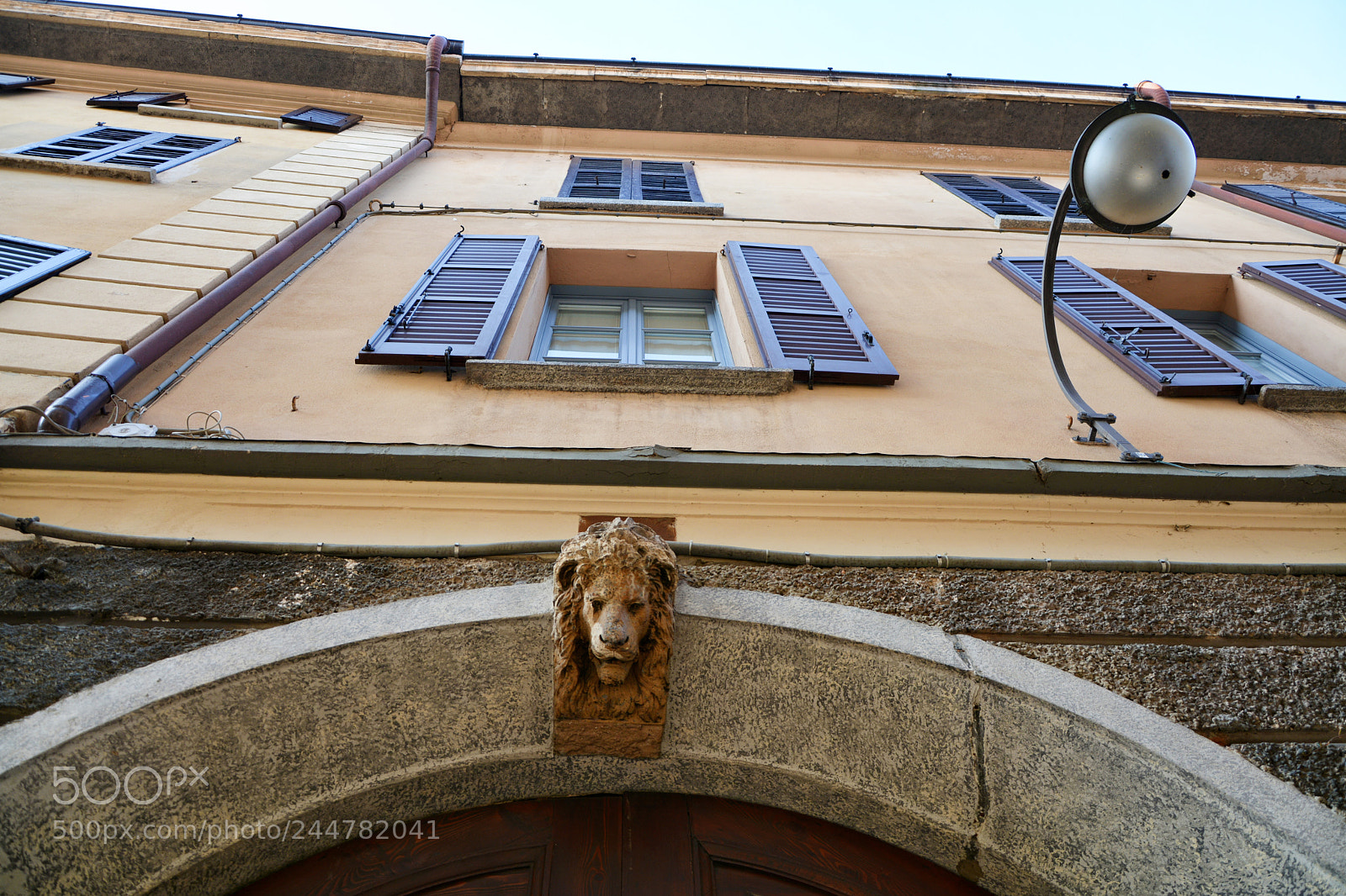 Nikon D7100 sample photo. Lion head photography