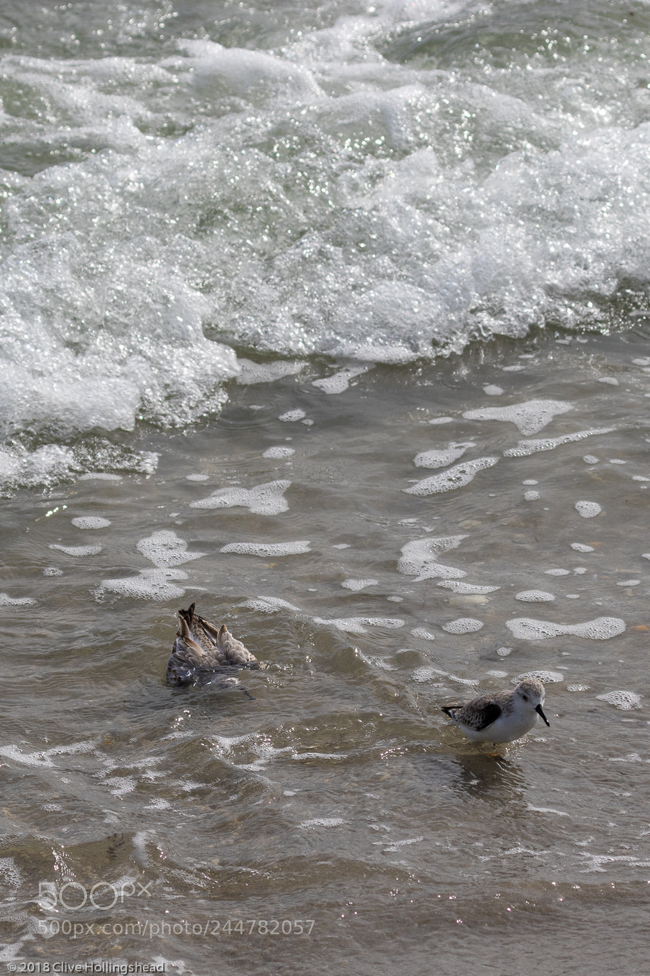 Canon EOS 7D Mark II sample photo. Quick before the wave photography