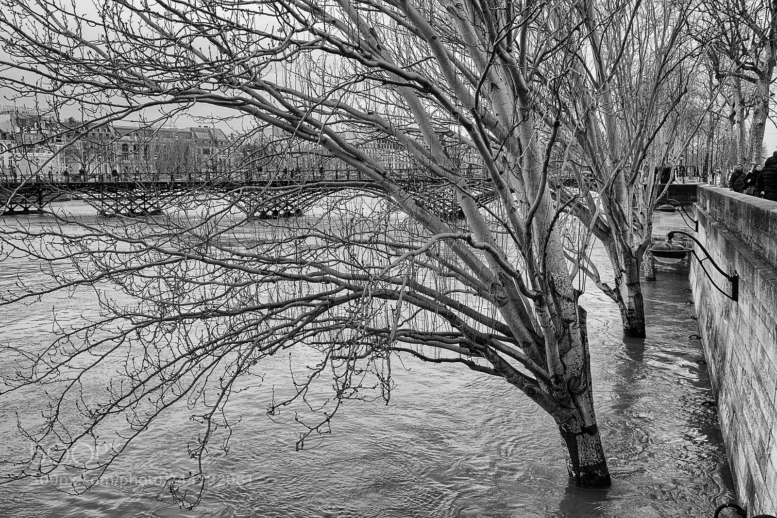 Fujifilm X-T20 sample photo. Seine flooding photography
