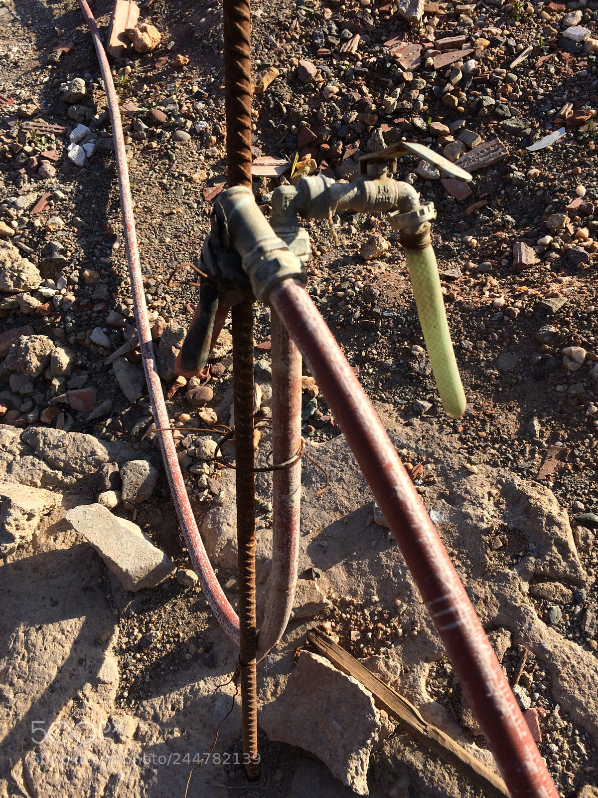 Apple iPhone 5s sample photo. صنابر  جافة photography