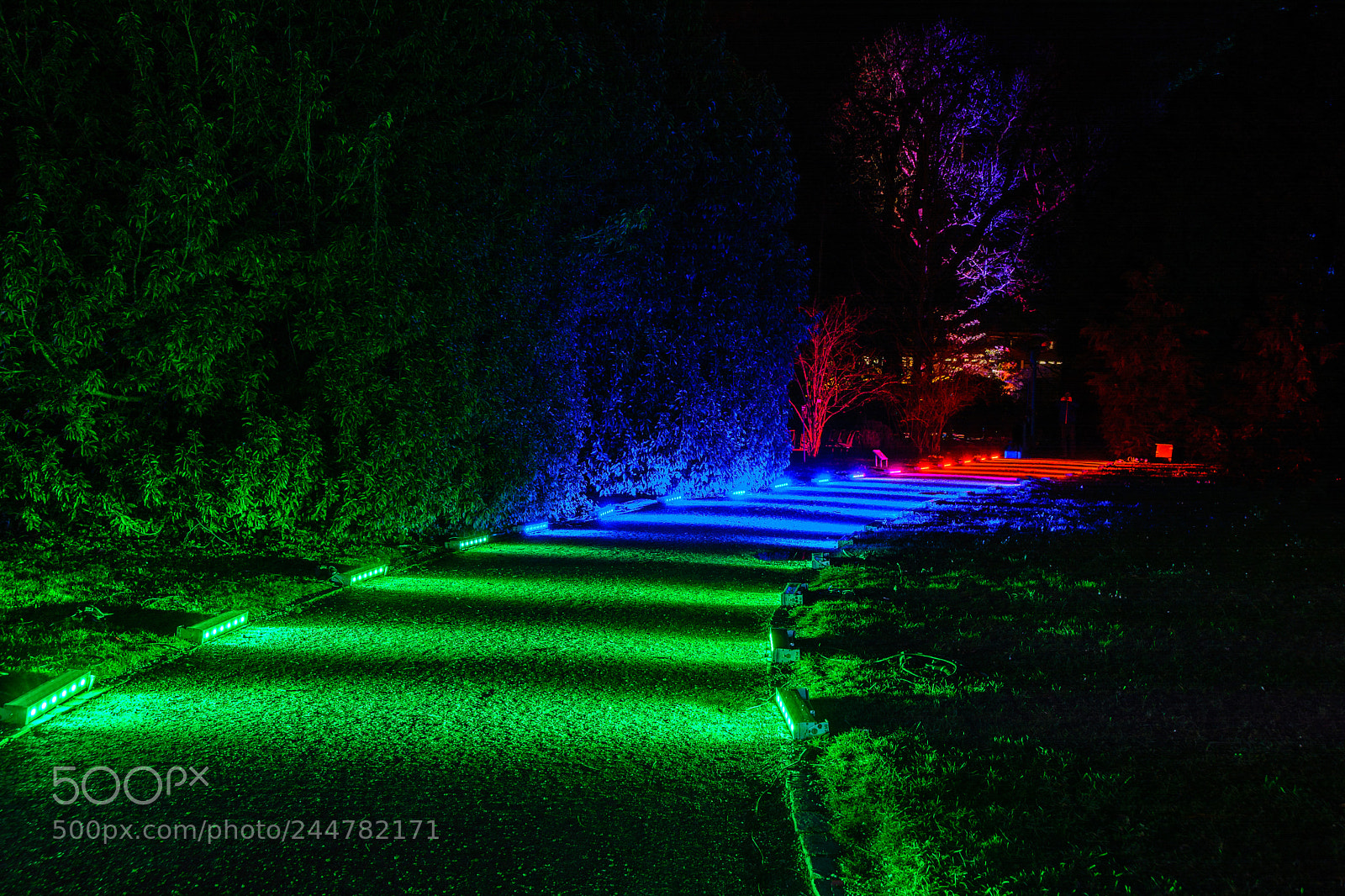 Nikon D7100 sample photo. Palmentgarten frankfurt winterlichter photography