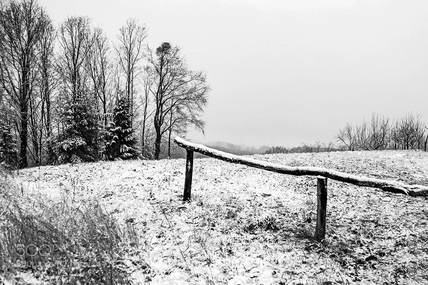 Nikon D5500 sample photo. Cb photography