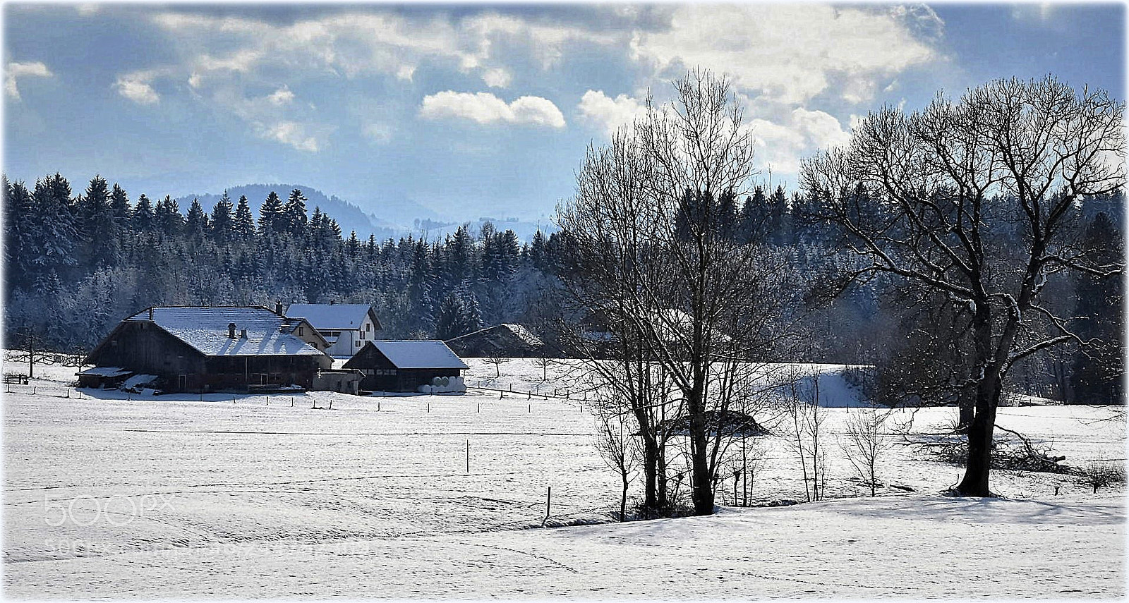 Nikon D7200 sample photo. "winterscape" photography