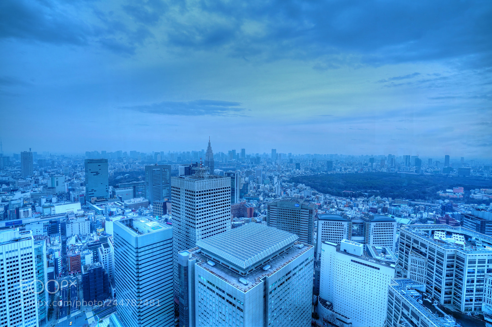 Sony a7R II sample photo. Tokyo city view photography